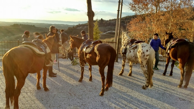  Paseo aventurero 